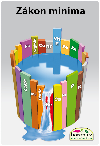 clanek-priciny-nemoci-lidi-zakon-minima-prirodni-lekarna-pro-lidi kopie